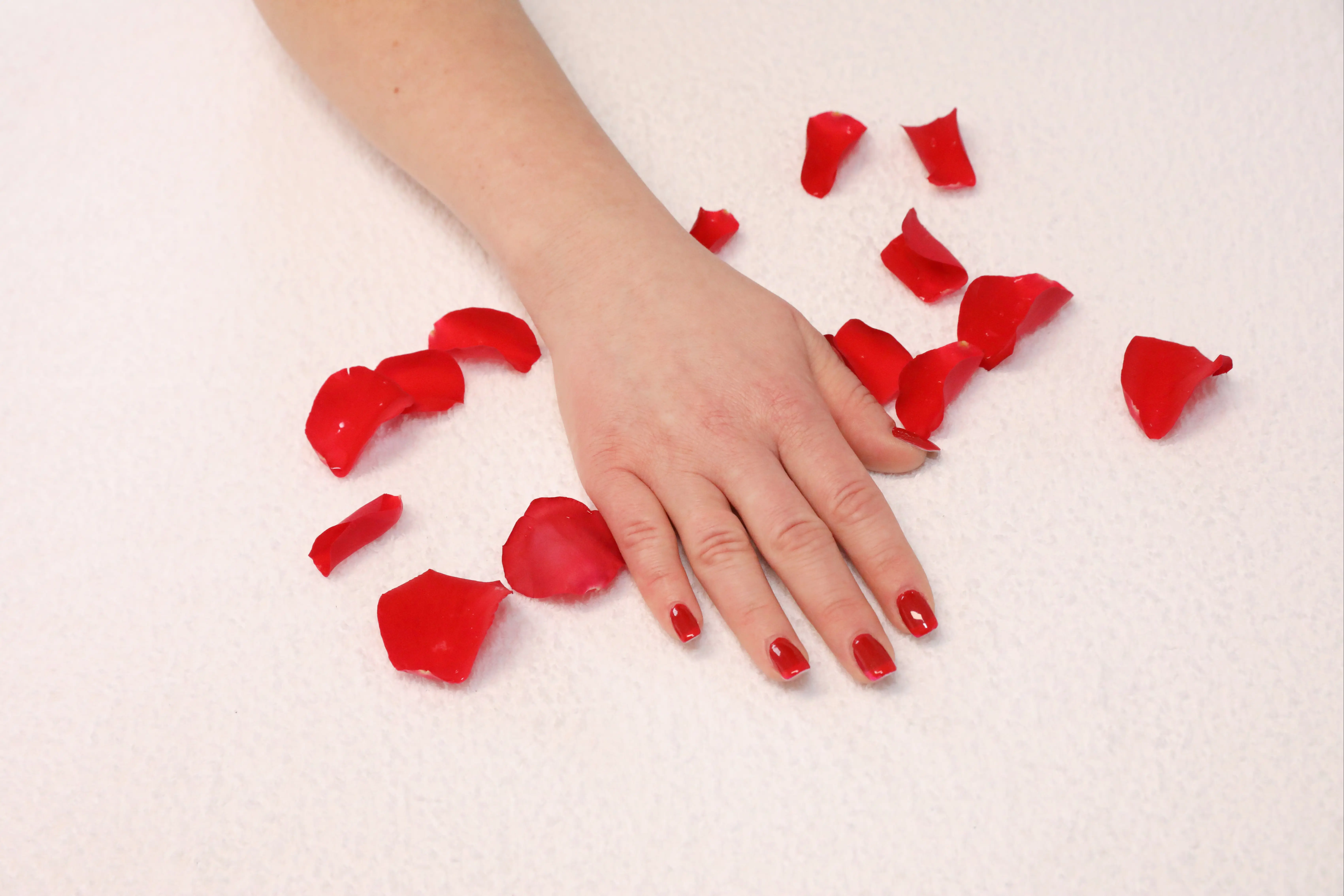 http://www.mihaela-beier.de
